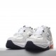 Nike M2K Tekno Pure Platinum Sail AO3108-004 Casual Shoes