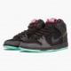 Nike Womens/Mens Dunk SB High Premier Northern Lights 313171 063 Running Sneakers
