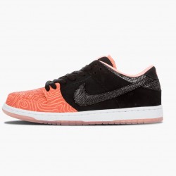 Nike Women's/Men's Dunk SB Low Premier Fish Ladder 313170 603 Running Sneakers