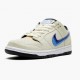 Nike Womens/Mens SB Dunk Low Truck It CT6688 200 Running Sneakers